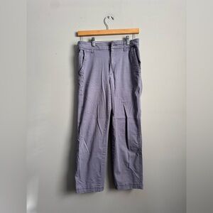 GAP womens Light Gray/purple/blue Chinos